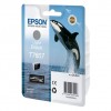 EPSON Μελάνι INKJET T7607 LIGHT BLACK (C13T76074010) (EPST760740) ............Avail:1-3HM ...... D06