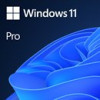 MICROSOFT WINDOWS 11 PRO 64-BIT ALL LANG ESD ............Avail:1-3HM ...... 5E02